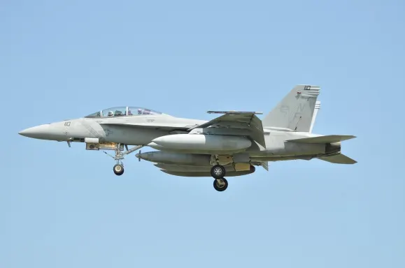 BoVegas Cazino Cazinou Suport